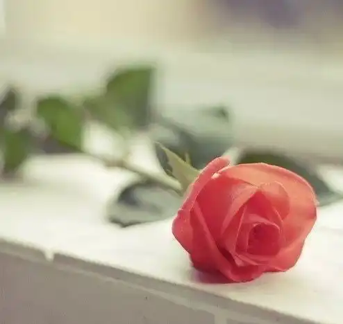 结婚要择吉哪些日子是良辰吉日
