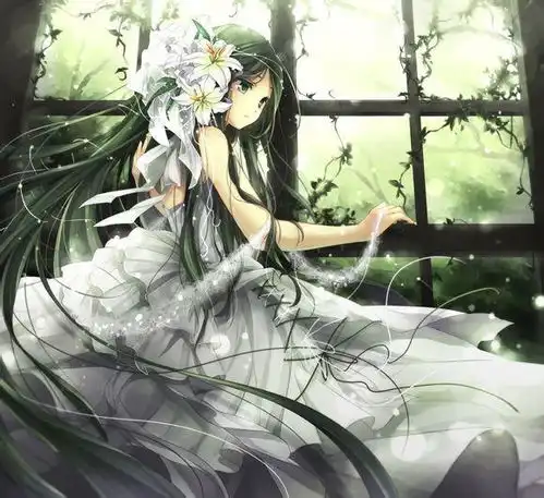 动漫少女图,公主型,可以画的
