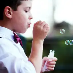 树干新芽树叶户外苹果手机高清壁纸2048x2048爱思助手
