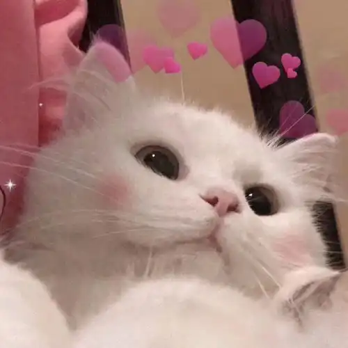 推文纯爱推文快穿苏爽文推荐你想要的受这里都有
