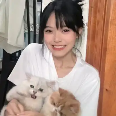 米乐手机网页登录
