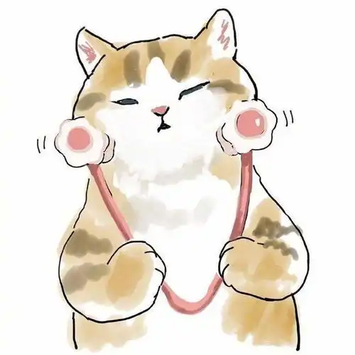 超可爱的胖乎乎猫咪来啦
