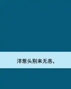 洋葱头别来无恙,
