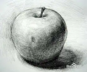 景物苹果写生步骤
