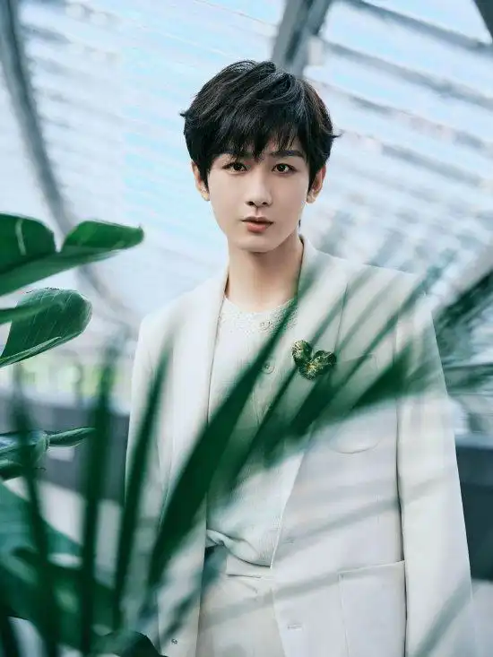 成毅经纪公司发律师声明已就侵权行为进行取证
