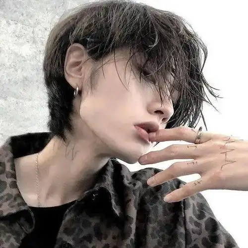 头像一只站在树上的鸟儿从来不会害怕树枝断裂因为她相信的不是树枝而是她自己的翅膀
