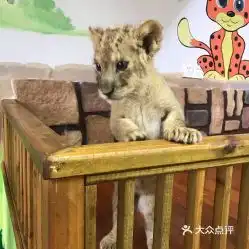 电话,地址,价格,营业时间图上海周边游
