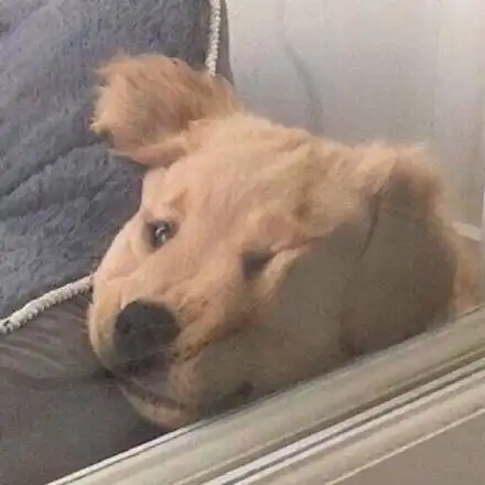 情侣头像表情包情侣头像微信表情包情侣头像qq表情包发表情fabiaoqing.com
