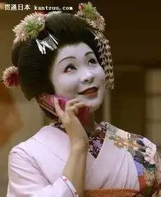 探秘日本艺伎风情万种的生活
