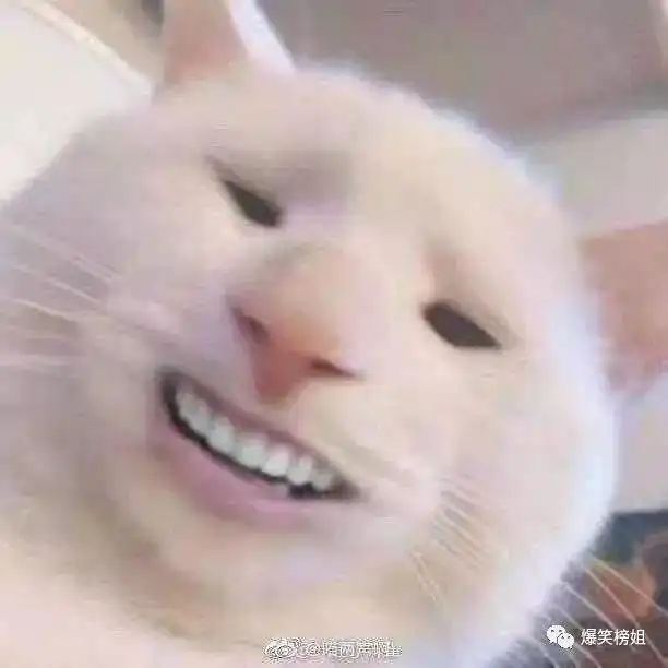春明不觉晓丨网友晒出爸妈年轻时的照片,这颜值也太高了吧
