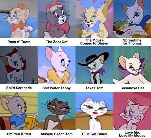 20年后再看猫和老鼠,我傻了
