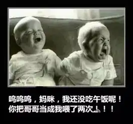 几张图片笑了一天
