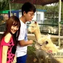 图片分享
