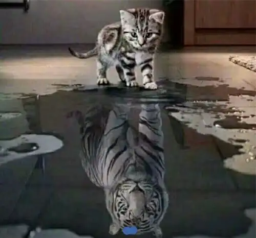 今天没什么好说的,正常的调整而已,大盘指数震荡回落,虽然破了支撑,但是没有超过百
