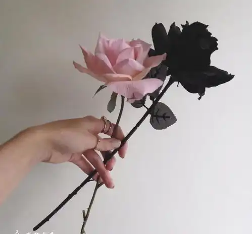 说到心坎的说说心情短语,你最喜欢哪一句
