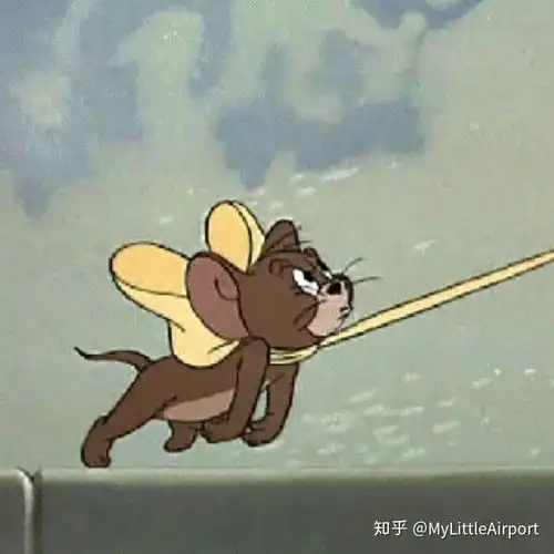 新手用什么牌子的长板,这个可以吗
