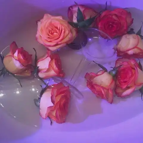 ins风票圈背景图你必须要承认,每个女孩子都是可爱的

