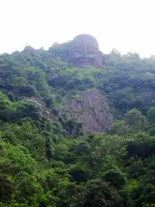 遂昌千佛山南尖岩云海梯田观光行
