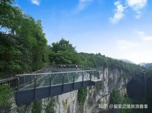 武隆区长化身女神主播共赏武隆美景,共享自然味道
