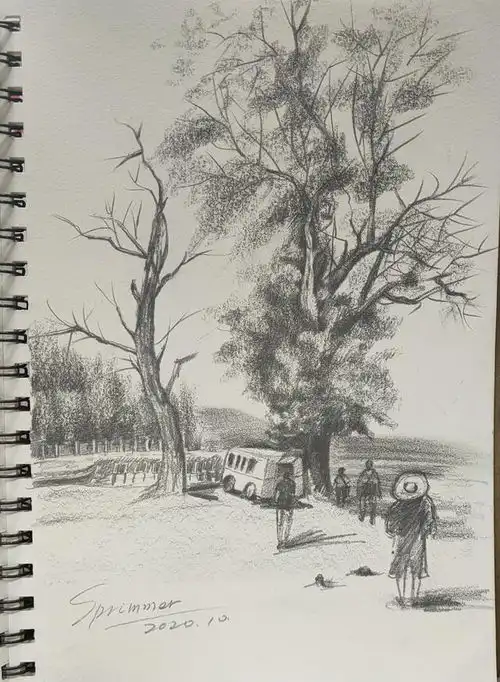 画风景速写前,初学者可以从树开始练习,效果事半功倍no16
