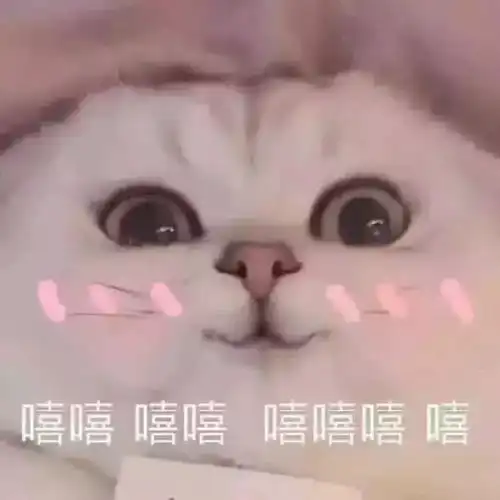 表情最近臭美表情包火了注意你的态度,怎么跟宇宙小姐说话呢...表情
