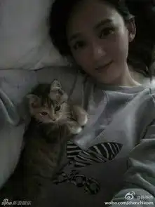陈乔恩抱猫咪慵懒拍床照乐被袭胸

