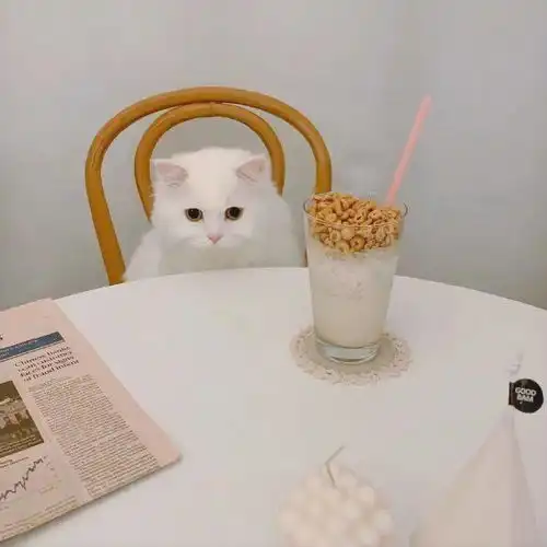 你好,10月29日手机有电,余额有钱,这就是我的安全感sir
