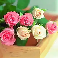 手工教程免费分享最新手工diy制作图解视频教程大全
