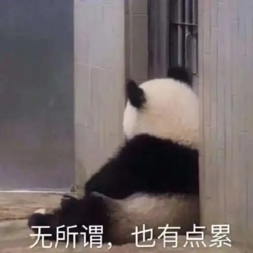 最卷但最穷的岗位,是它
