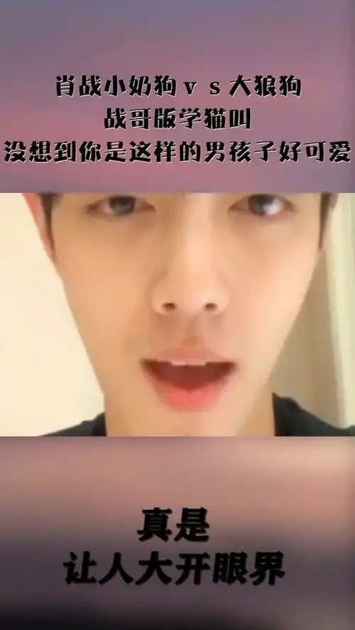 肖战小奶狗vs大狼狗,战哥版学猫叫,没想到你是这样的男孩子好可爱
