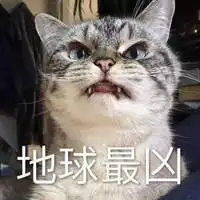动画猫躲着看的头像女生微信头像图片大全
