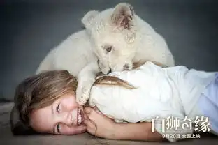 这部电影又想骗我养狮子
