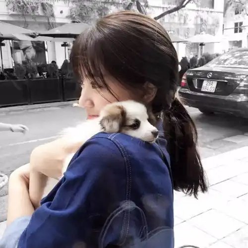 头像丨有些心动是不是当初就不应该开始
