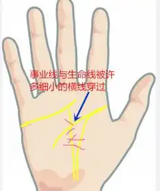 看好身边男人手相他事业成功肯定有这条事业线
