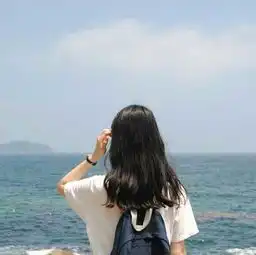 飘飘何所似,天地一沙鸥
