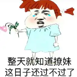 斗图必备的表情整天就知道撩小姐姐,这个日子过的一天不如一天

