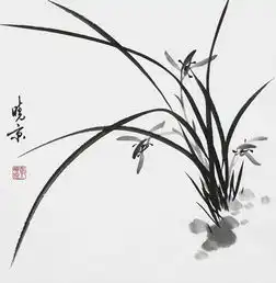 一念之间居家美国画君子兰帮您
