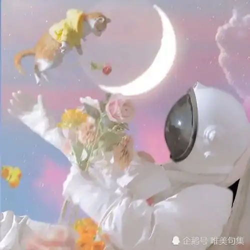 二十四句情话,总有一句撩到你
