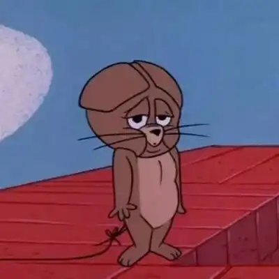 汤姆杰瑞情侣头像高清一对可爱猫和老鼠情头一左一右
