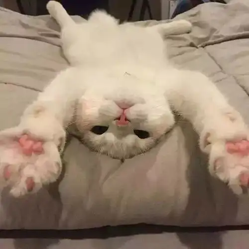 生活很难,但你很甜
