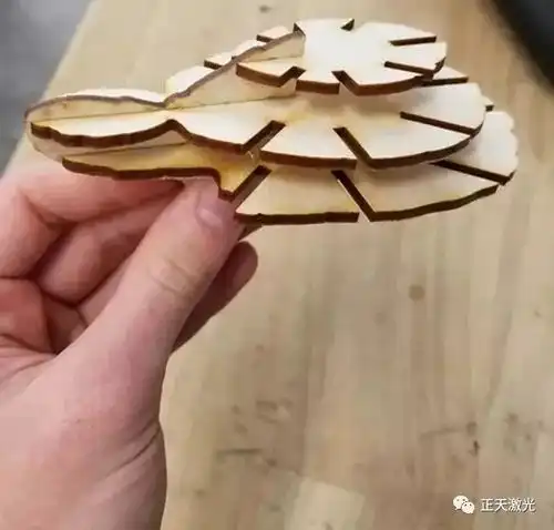 正天激光应用小课堂送你一只长寿龟,健康长寿又吉祥87期
