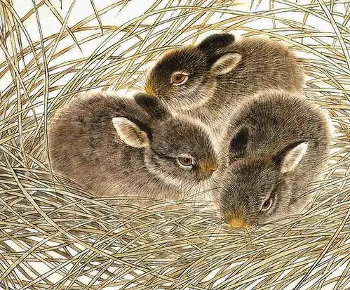 未来2年苦尽甘来,4生肖穷运到头,奋斗终得回报,富贵就在眼前
