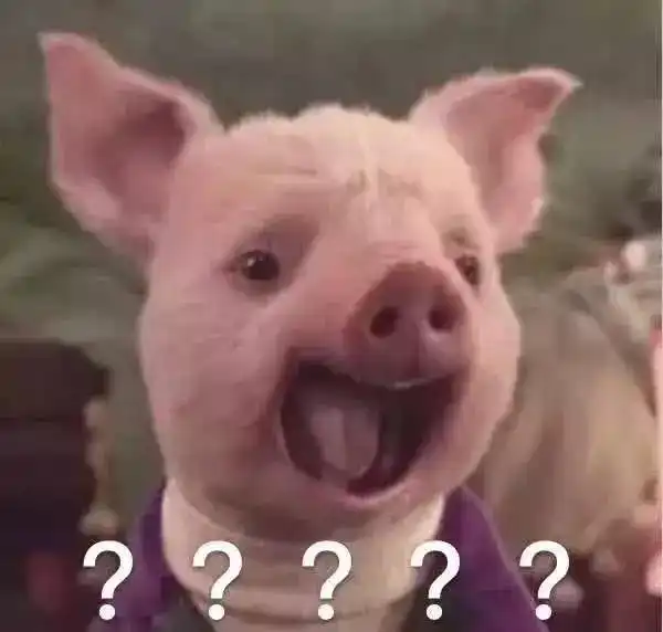 明星人设是全社会的一场共谋
