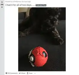 精灵宝可梦letsgo精灵球plus值不值得买精灵球plus测评
