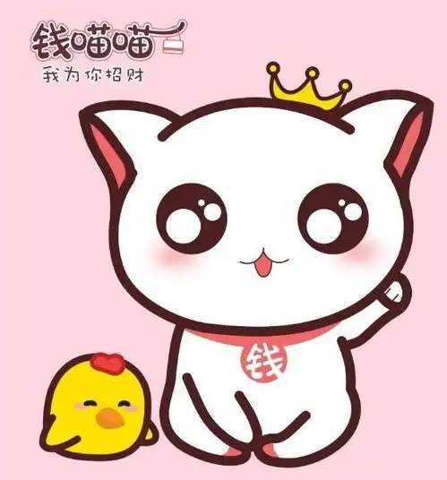 钱喵喵
