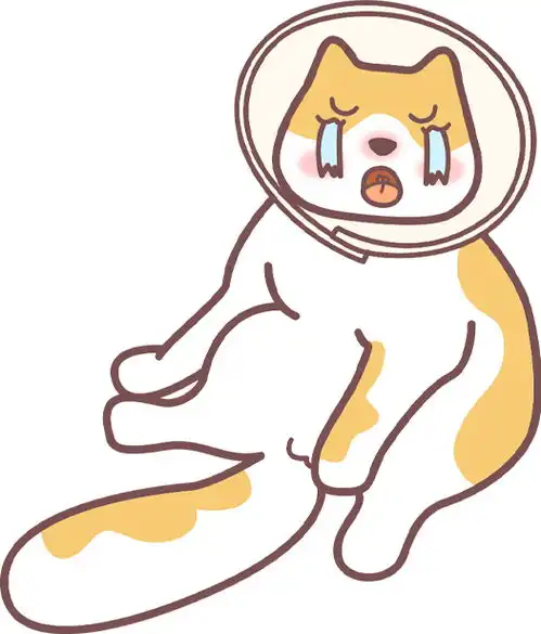 猫咪黑下巴别挤别抠内含最全治愈攻略
