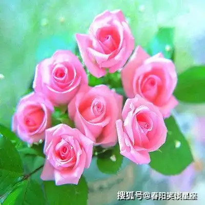 心慈心善,旺夫旺家的3个生肖女,就像菩萨保佑全家
