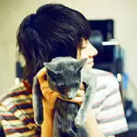 请问这张图片上的这只猫咪是什么种类的呀
