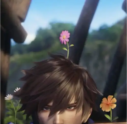 王者荣耀澜和蔡文姬情头汇总
