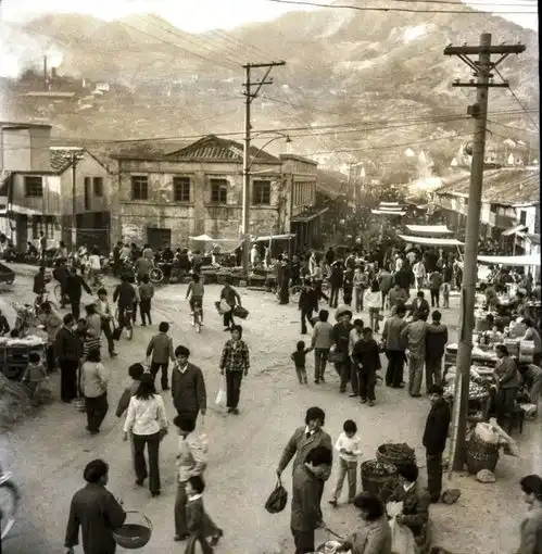 苍南这个镇,全世界闻名